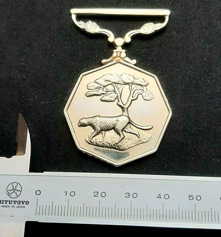 **Border War : 1980s SADF Type I Southern Africa Medal (Rim Numbered).**