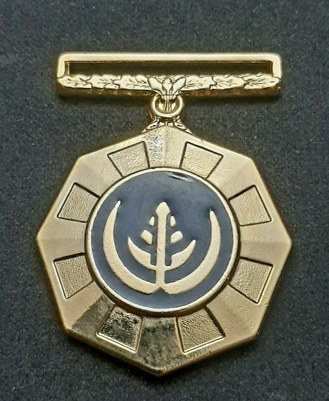**Border War : 1980s SADF Pro Patria Medal N/R (Numbered).**