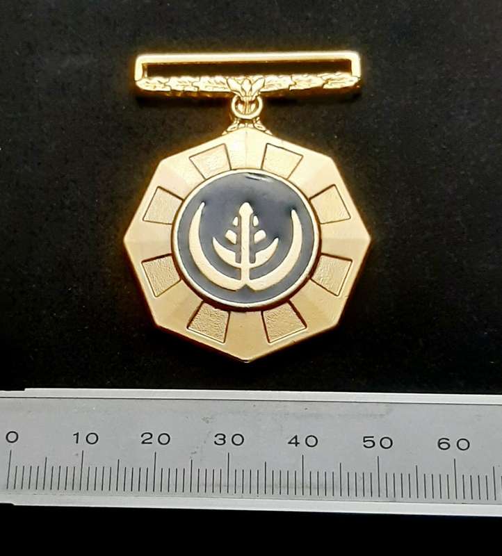 **Border War : 1980s SADF Pro Patria Medal N/R (Numbered).**