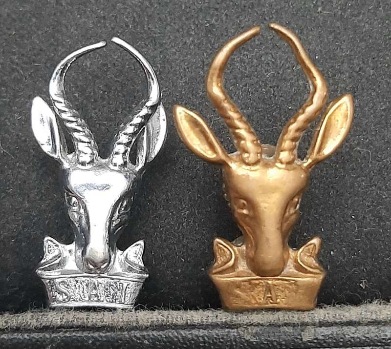 **Border War : 1960s / 70s SADF 'Bok Kop' Beret Badges x2 (Lugs Intact).**