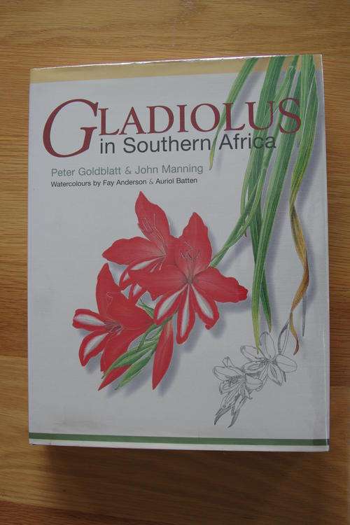 Gladiolus in Southern Africa