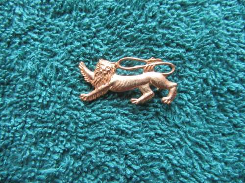 1974 BRITISH LIONS PIN BADGE