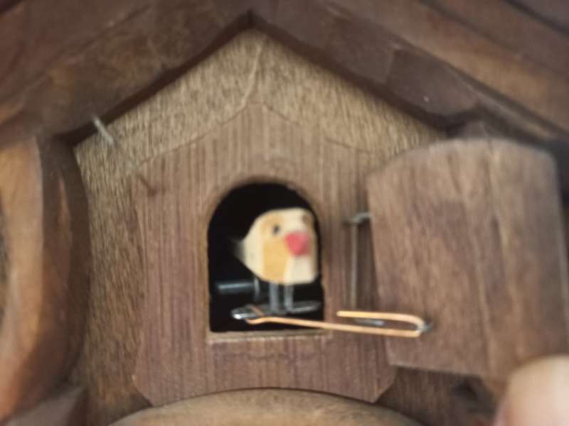 CUCKOO CLOCK MADE IN GERMANY