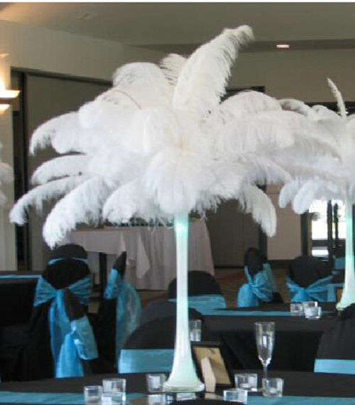 Quality ostrich feathers