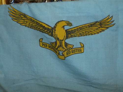 SAAF Flag