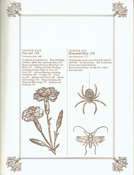 The Book of Home Remedies and Herbal Cures
