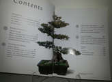 The bonsai bible
