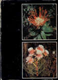 The Proteaceae of South Africa