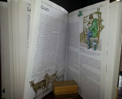 The NEW Complete book of Self-Sufficiency