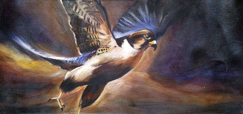 FLYING FALCON: A DRAMATIC USE OF LIGHT AND DARK DEPICTING A FLYING FALCON W:59CM H:30CM