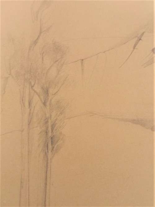 ORIGINAL STANLEY PINKER DRAWING OF CEDERBERG