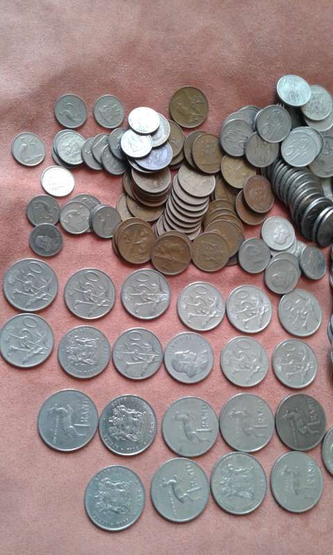 Mixed South African Cions