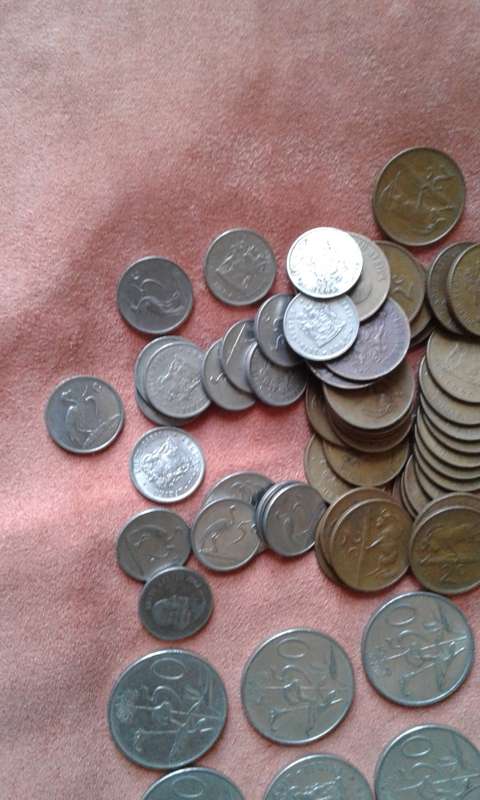 Mixed South African Cions