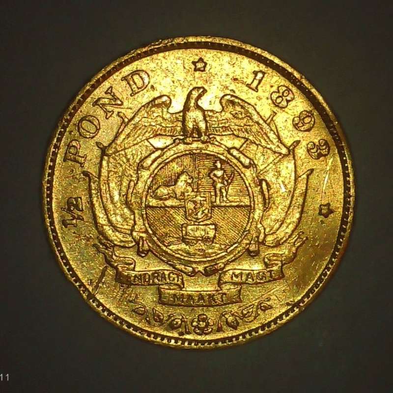 South Africa 1893 Half Pond Paul Kruger pre Boer War ZAR gold coin