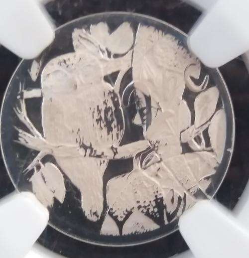 FLYPRESS MS 67 2004 SPOTTED OWL FLYPRESS 2 1/2 CENT COIN!!! NGC GRADED!!!