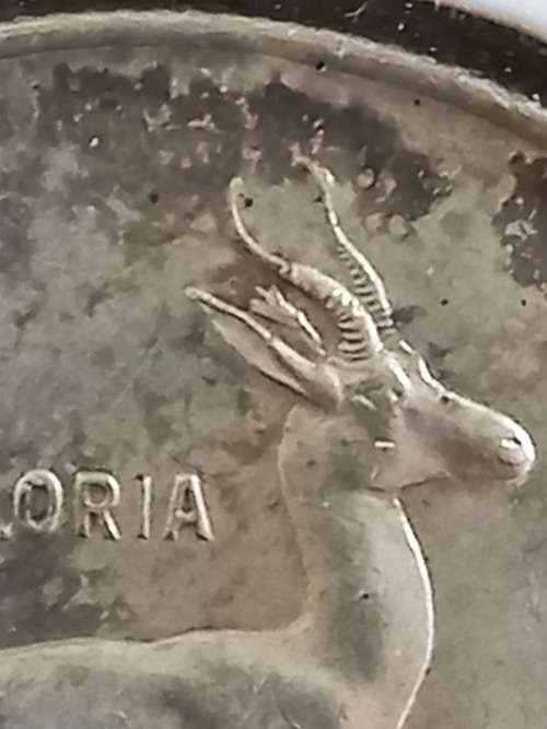 TAGGED EAR 1966 SILVER R1