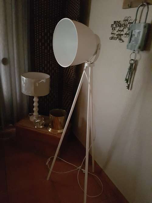 Industrial Style Floor Lamp