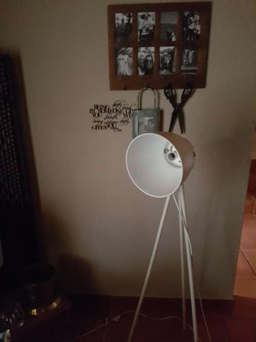 Industrial Style Floor Lamp