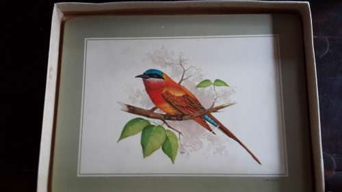 Pastiche Bird Place Mats