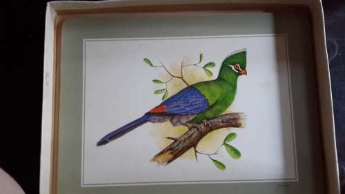 Pastiche Bird Place Mats