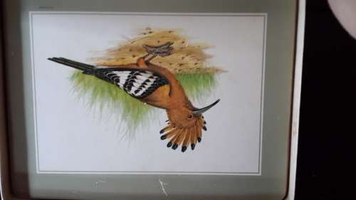 Pastiche Bird Place Mats