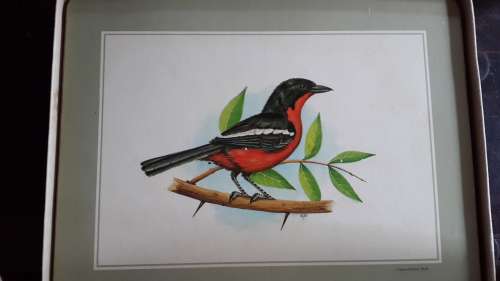 Pastiche Bird Place Mats