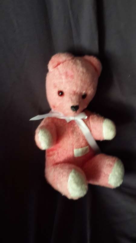 Ark Pink Teddy Bear