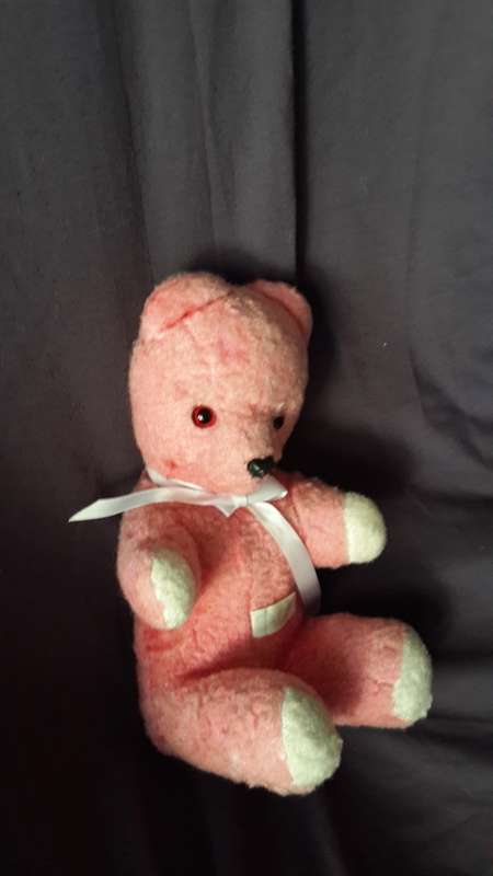Ark Pink Teddy Bear