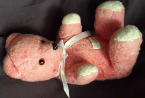 Ark Pink Teddy Bear