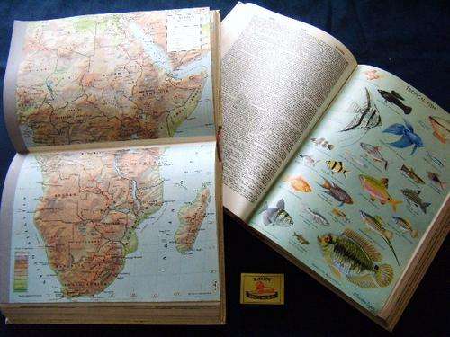 Vintage Set - Oxford Universal Dictionary Illustrated - White Leatherette with Gold Print