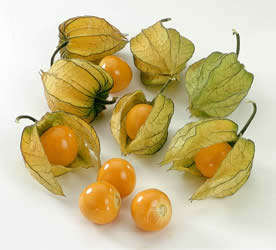 Cape Gooseberry Seeds x 100