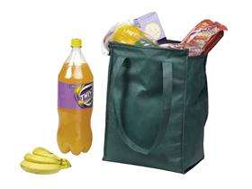 Budget  2 Litre Cooler Bag - New