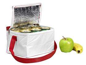 Econo Cooler Bag - New