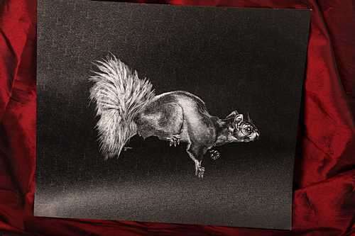 Original Etching Cute Chipmunk by Tony Mills