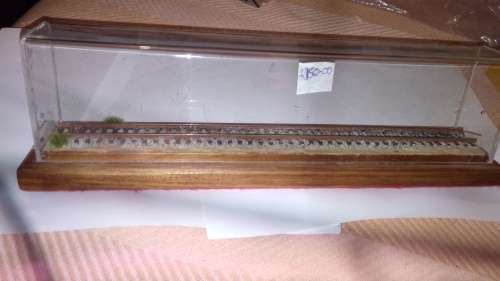 HO/OO:DISPLAY CASE. Loco for illustration