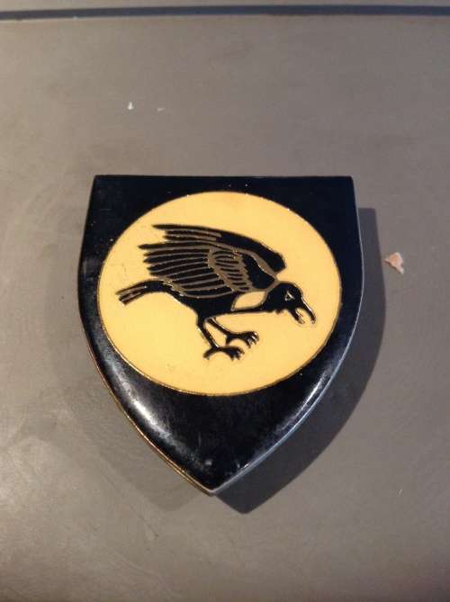 31 battalion flash