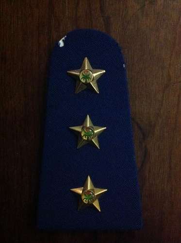 SAPS captains slip on rank