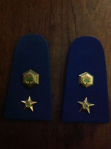 Saps lieutenant colonel slip on rank , pair
