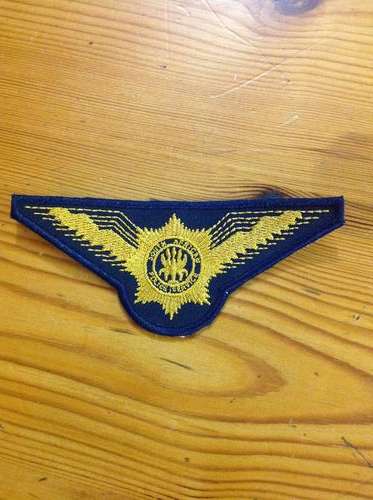 Durban police air wing