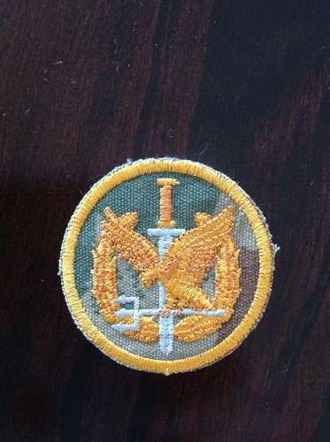 Saps task force operators badge