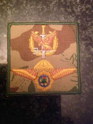 Sap task force ,operator/para combination badge