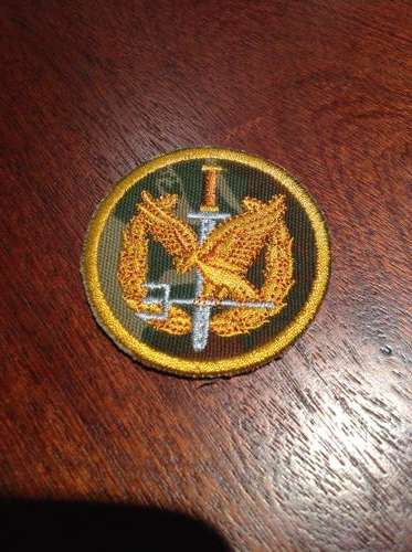 Sap task force operators badge