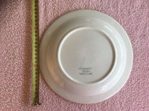 South African Railways Dinner Plate - perfect condition!