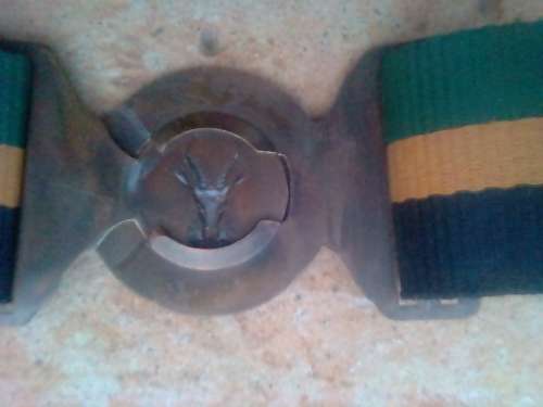 SADF 5 SAI STABLE BELT