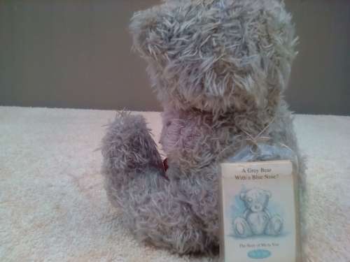 ME TO YOU BEAR -F02A -13 CM