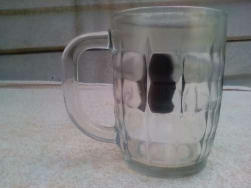 MOTH BEER MUG