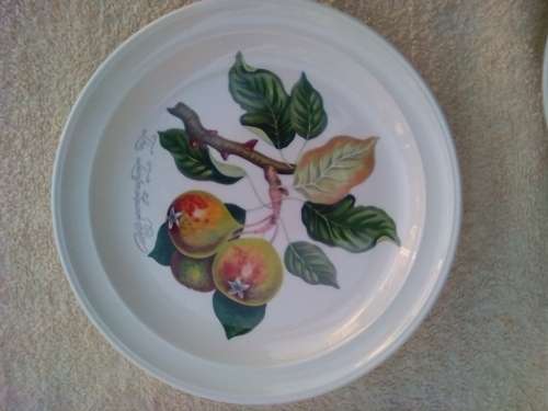 PORT MEIRION 6 X SIDE PLATES -GOOD CONDITION