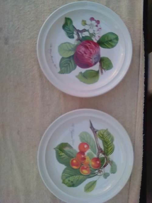 PORT MEIRION 7 X DINNER PLATES -GOOD CONDITION