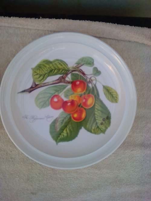 PORT MEIRION 7 X DINNER PLATES -GOOD CONDITION