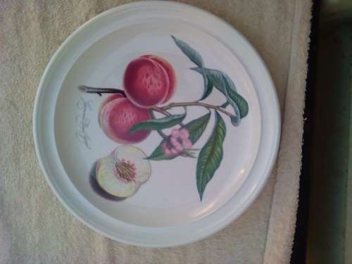 PORT MEIRION 7 X DINNER PLATES -GOOD CONDITION